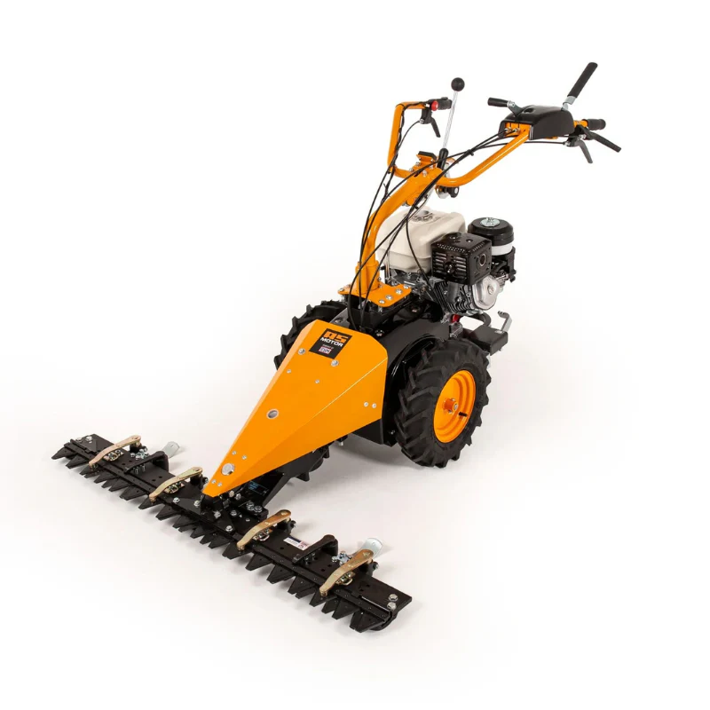 Miniatuur 2