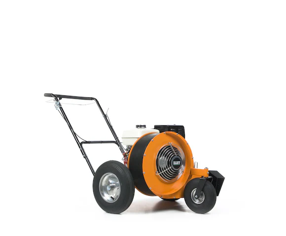 Miniatuur 1
