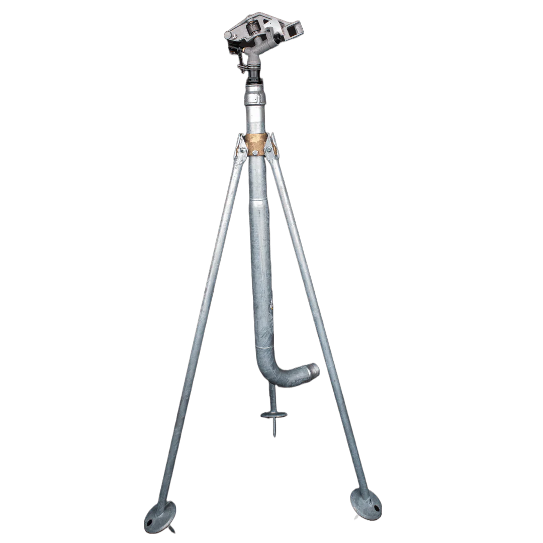 Miniatuur 2