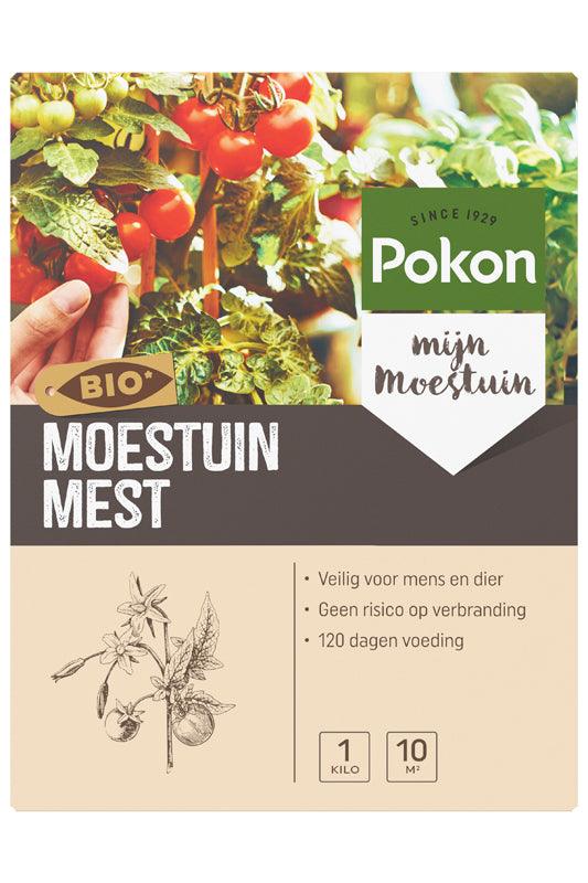 Miniatuur 2