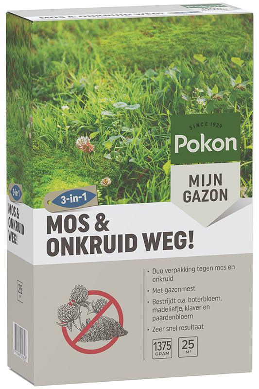 Miniatuur 1