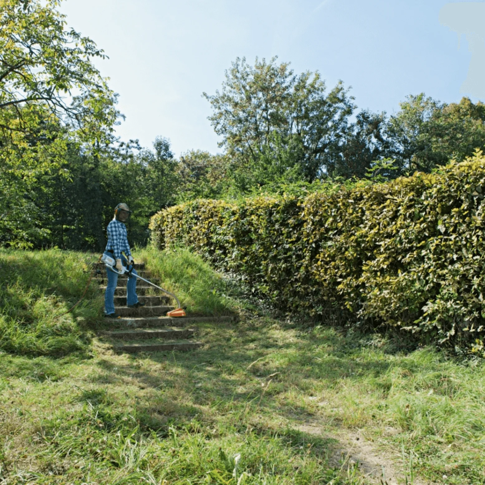Miniatuur 2